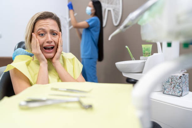 Best Emergency Dental Care for Trauma or Injury in Mayville, MI