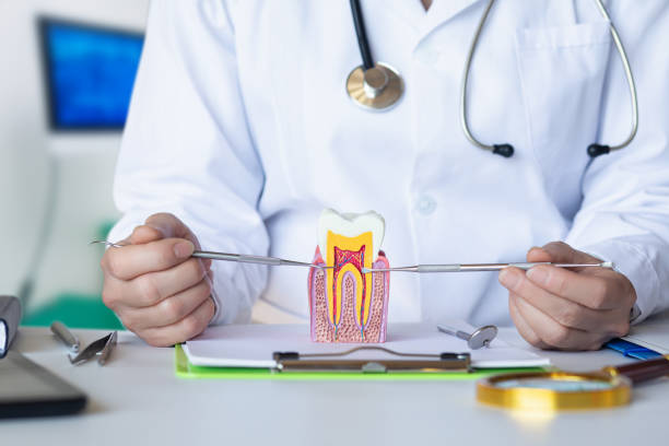 Best After-Hours Emergency Dentist in Mayville, MI
